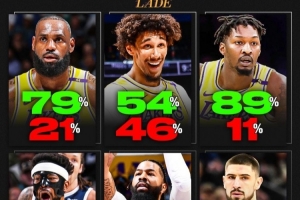 湖人自媒体调查：89%球迷希望DFS回归 79%希望詹姆斯回归👀