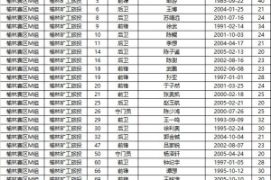 【2025中冠联赛大区赛各队报名名单】榆林赛区M组、N组