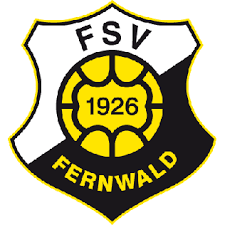 VfB马尔堡